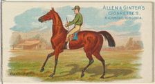 Banburg, from The World's Racers series (N32) for Allen & Ginter Cigarettes, 1888. Creator: Allen & Ginter