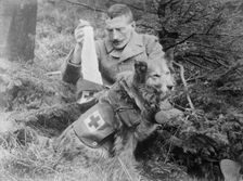 Bandages from kit of British Dog, between 1914 and c1915. Creator: Bain News Service
