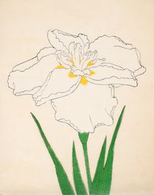 Bandai-No-Nami, No 1, 1890, (colour woodblock print)