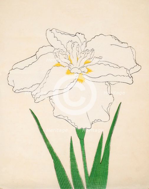 Bandai-No-Nami, No 1, 1890, (colour woodblock print)