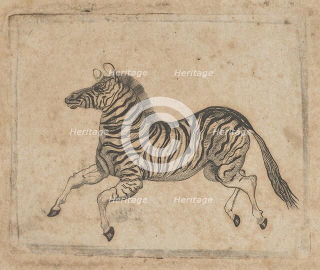 Banknote vignette showing a zebra, ca. 1824-37. Creator: Attributed to Asher Brown Durand.