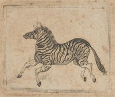 Banknote vignette showing a zebra, ca. 1824-37. Creator: Attributed to Asher Brown Durand