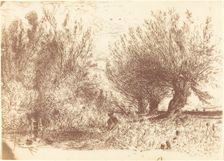 Banks of a River (Bords de Riviere), c. 1866. Creator: Paul Huet