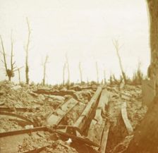Banks of the River Yser, Diksmuide, Belgium, c1914-c1918