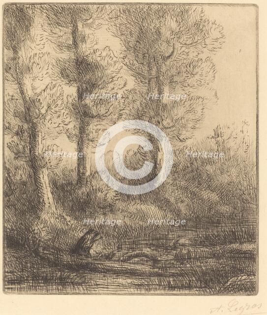 Banks of the Saint-Pre (Rive du Saint-Pre). Creator: Alphonse Legros.