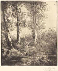 Banks of the Saint-Pre (Rive du Saint-Pre). Creator: Alphonse Legros