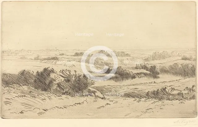 Banks of the Yanne (Les bords de la Yanne). Creator: Alphonse Legros.