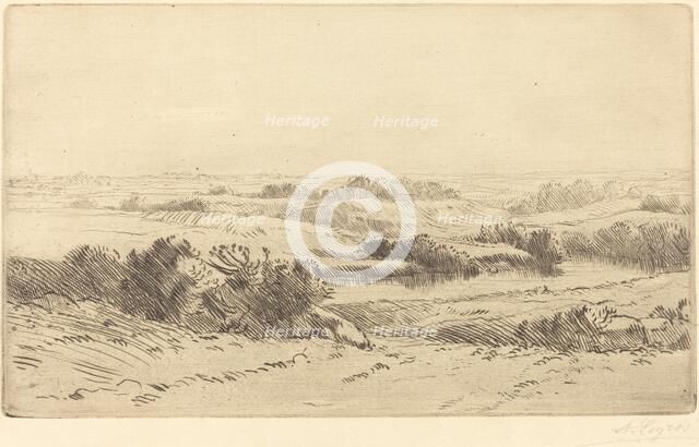 Banks of the Yanne (Les bords de la Yanne). Creator: Alphonse Legros.