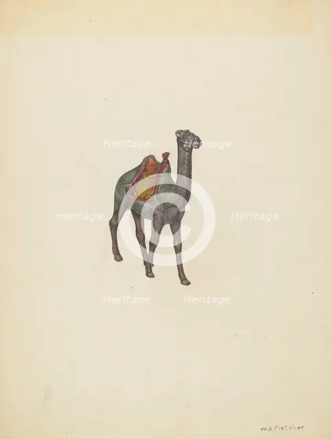 Bank Camel, c. 1940. Creator: William O. Fletcher.