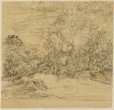 Bank of a Pond, n.d. Creator: Rodolphe Bresdin