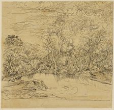 Bank of a Pond, n.d. Creator: Rodolphe Bresdin
