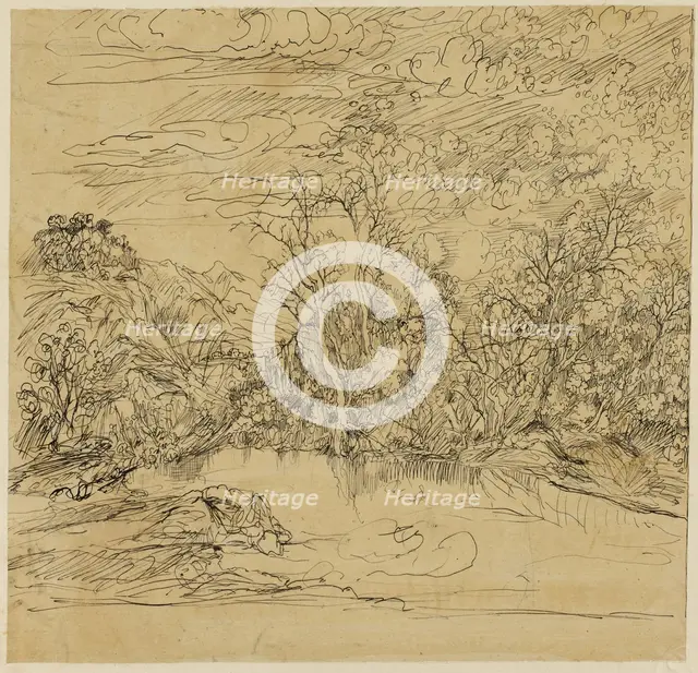 Bank of a Pond, n.d. Creator: Rodolphe Bresdin.