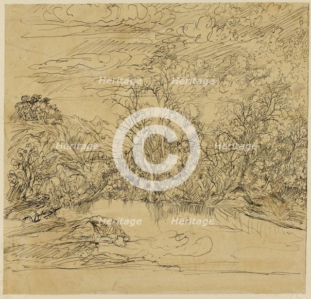 Bank of a Pond, n.d. Creator: Rodolphe Bresdin.