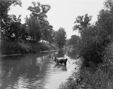 Baraboo River near Ableman's, between 1880 and 1899. Creator: Unknown