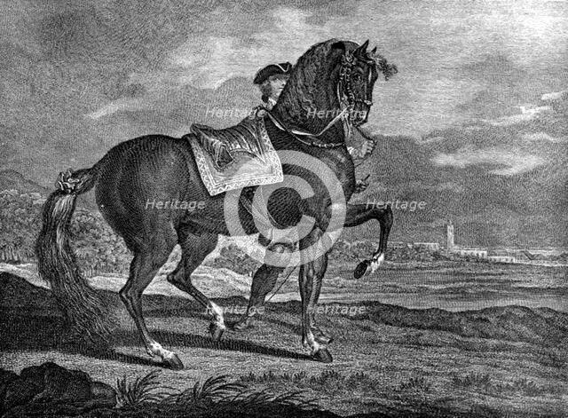 Barb, 1722 (1938). Artist: Unknown