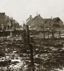 Barbed wire, Nieuwkapelle, Flanders, Belgium, c1914-c1918