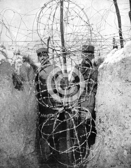 Barbed wire surrounding a French trench, World War I, 1915. Artist: Unknown