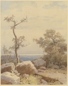 Bare tree among stone blocks, 1880. Creator: Carl Theodor Reiffenstein