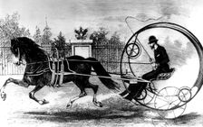 Baroky's Swallow c1870. Creator: Unknown