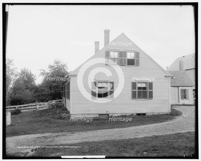 Barn and house on Maplewood Farm, Maplewood, N.H., between 1900 and 1915. Creator: Unknown.