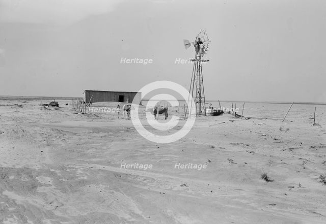 Barn and shed of farm in the Texas Panhandle, near Boise City, Texas, 1938. Creator: Dorothea Lange.