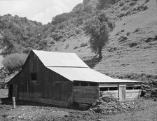 Barn in a valley back of Mission San Jose, Santa Clara County, California, 1939. Creator: Dorothea Lange