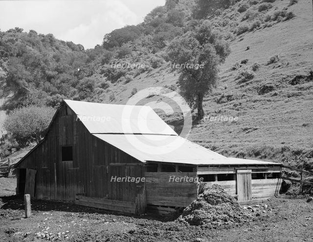Barn in a valley back of Mission San Jose, Santa Clara County, California, 1939. Creator: Dorothea Lange.