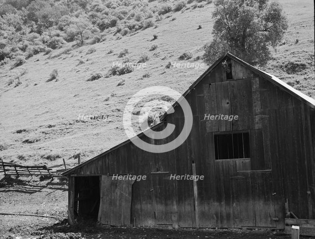 Barn in a valley back of Mission San Jose, Santa Clara County, California, 1939. Creator: Dorothea Lange.