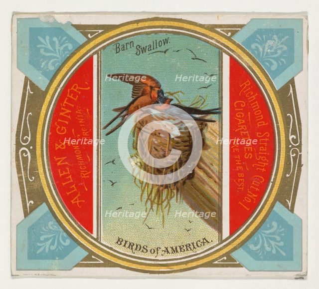 Barn Swallow, from the Birds of America series (N37) for Allen & Ginter Cigarettes, 1888. Creator: Allen & Ginter.