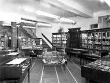 Barnsley Co-op central jewellery department, South Yorkshire, 1956. Creator: Michael Walters