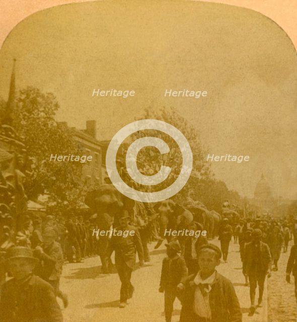'Barnum's Parade, Penn. Ave. Washington D.C.', late 19th-early 20th century. Creator: Unknown.