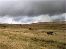 Barrow on Salisbury Plain, Wiltshire, 1999. Artist: IJ Leonard