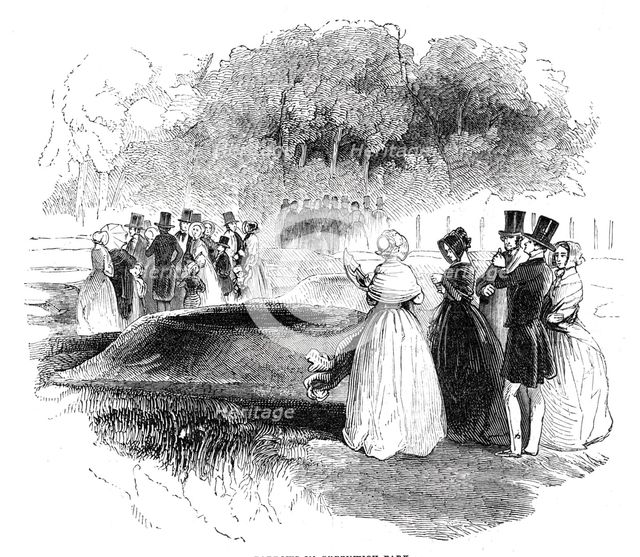 Barrows in Greenwich Park, 1844. Creator: Unknown.