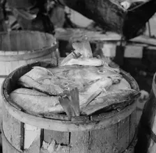 Barrels of codfish, New York, 1943. Creator: Gordon Parks