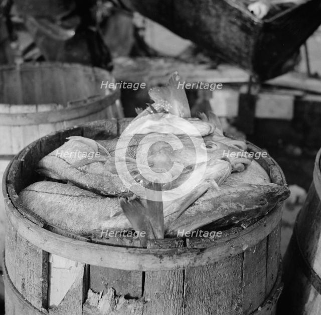 Barrels of codfish, New York, 1943. Creator: Gordon Parks.