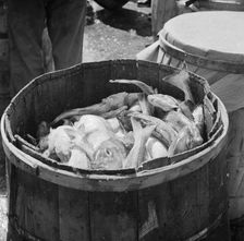 Barrels of codfish, New York, 1943. Creator: Gordon Parks
