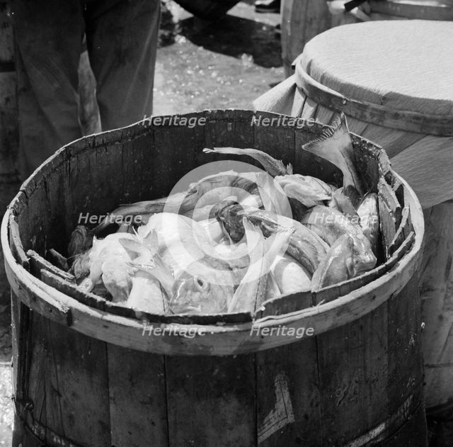 Barrels of codfish, New York, 1943. Creator: Gordon Parks.