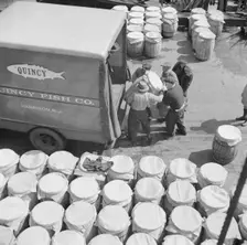 Barrels of fish on the docks at Fulton fish market ready to be shipped to retailers, New York, 1943. Creator: Gordon Parks