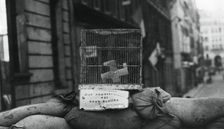 Barricade on the Rue de Chateaudun, liberation of Paris, August 1944