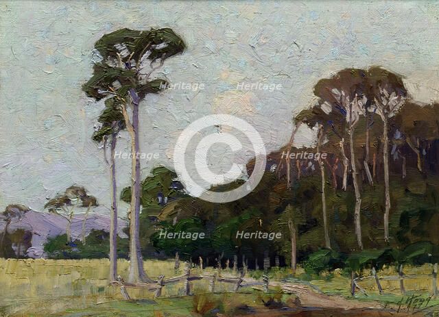 Bartons Bush, Trentham, 1917. Creator: Ernest George Hood.