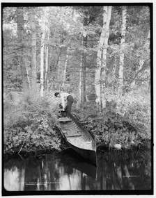 Bartlett's carry, Round Lake, Adirondack Mountains, (1902?). Creator: William H. Jackson