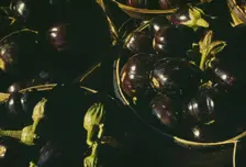 Baskets of eggplants, between 1941 and 1942. Creator: Unknown