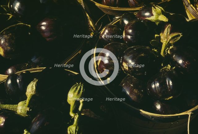 Baskets of eggplants, between 1941 and 1942. Creator: Unknown.