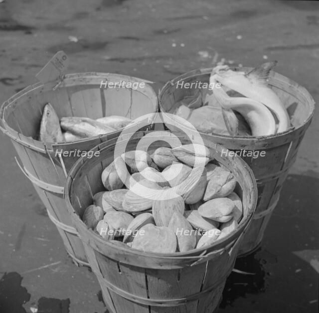 Baskets of seafood at the Fulton fish market, New York, 1943. Creator: Gordon Parks.