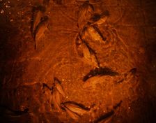 Basilica Cistern, Istanbul, Turkey, 2013. Creator: LTL