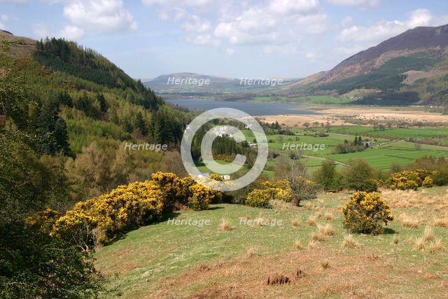 Bassenthwaite Lake from Whinlatter Pass, Lake District, Cumbria. Creator: Peter Thompson.