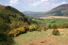Bassenthwaite Lake from Whinlatter Pass, Lake District, Cumbria. Creator: Peter Thompson