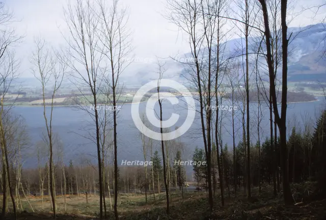 Bassenthwaite Lake from the West, Cumberland, England, 20th century. Artist: CM Dixon.