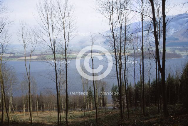 Bassenthwaite Lake from the West, Cumberland, England, 20th century. Artist: CM Dixon.