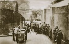 BBC broadcast from the aviary at London Zoo, 20th century. Creator: Unknown
